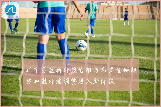 辽宁男篮新外援哈维与布罗金顿即将加盟外援调整进入新阶段