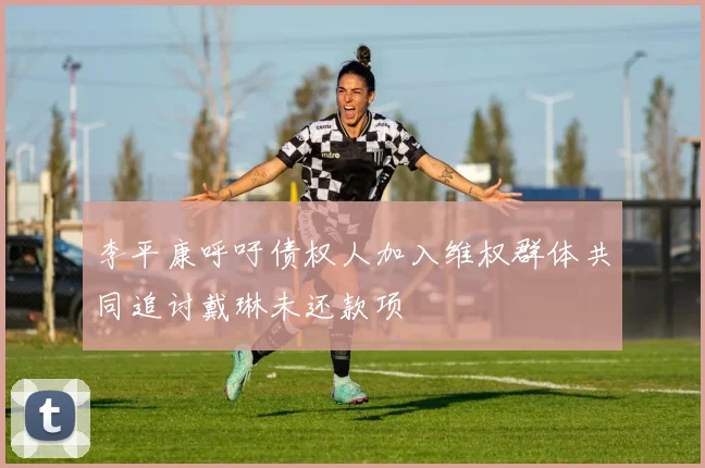 李平康呼吁债权人加入维权群体共同追讨戴琳未还款项