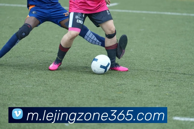 乐竞体育平台生态图